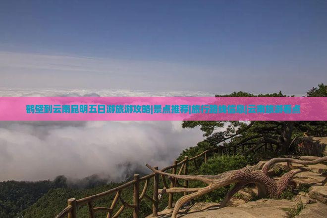 鹤壁到云南昆明五日游旅游攻略|景点推荐|旅行路线信息|云南旅游看点