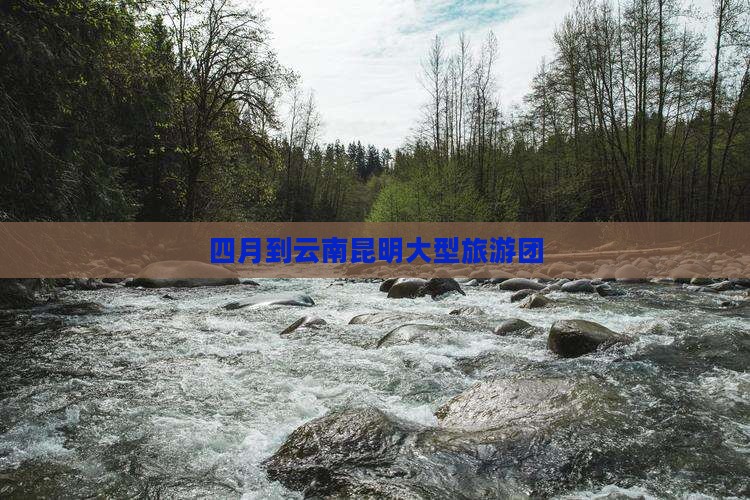 四月到云南昆明大型旅游团