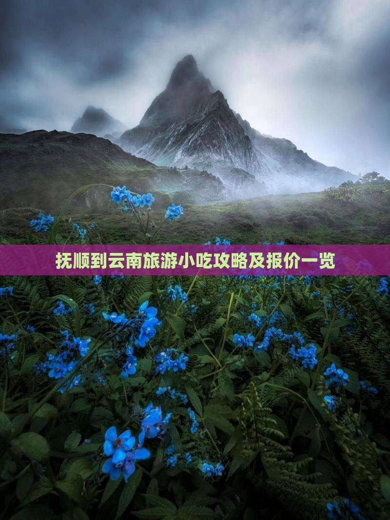 抚顺到云南旅游小吃攻略及报价一览