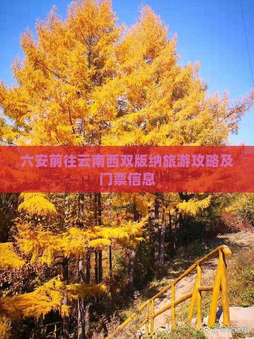 六安前往云南西双版纳旅游攻略及门票信息