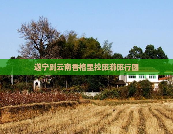 遂宁到云南香格里拉旅游旅行团