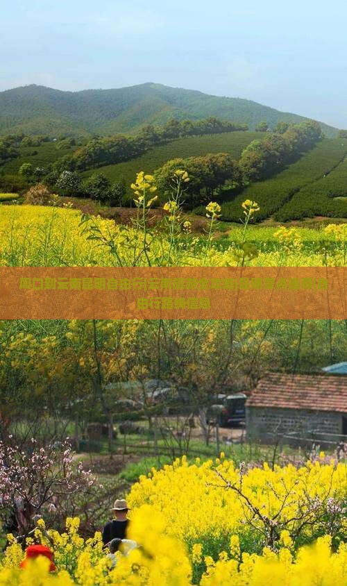 周口到云南昆明自由行|云南旅游全攻略|昆明景点推荐|自由行路线信息