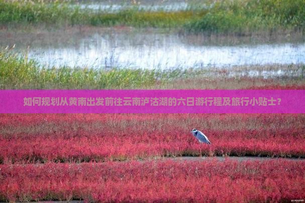 如何规划从黄南出发前往云南泸沽湖的六日游行程及旅行小贴士？