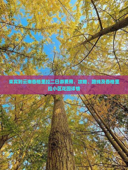 来宾到云南香格里拉二日游费用、攻略、路线及香格里拉小区花园详情