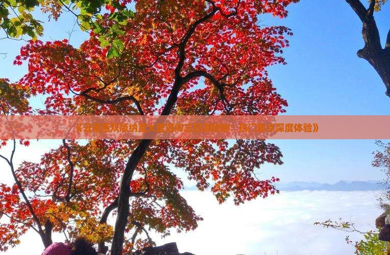《云南西双版纳至大理洱海三日游攻略：热门景点深度体验》