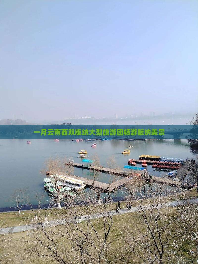 一月云南西双版纳大型旅游团畅游版纳美景