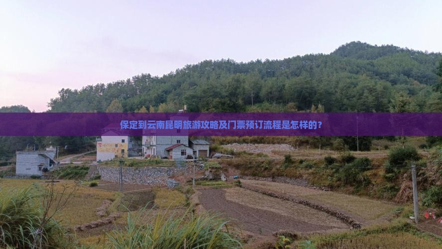 保定到云南昆明旅游攻略及门票预订流程是怎样的？