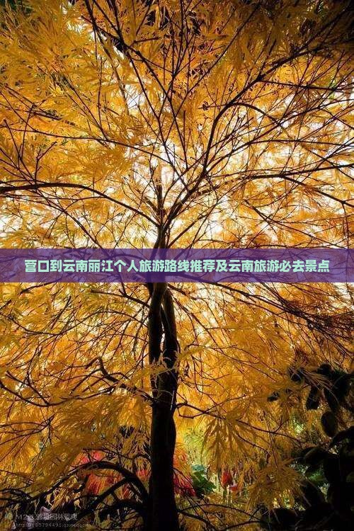 营口到云南丽江个人旅游路线推荐及云南旅游必去景点