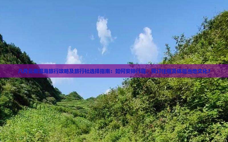 八月云南洱海旅行攻略及旅行社选择指南：如何安排行程、预订住宿及体验当地文化？