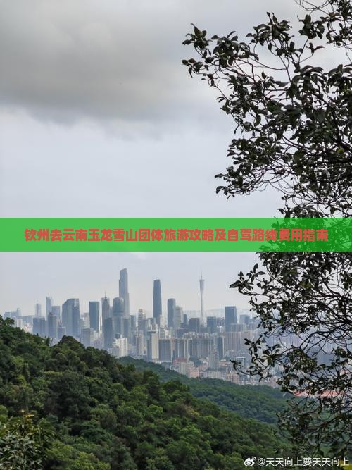 钦州去云南玉龙雪山团体旅游攻略及自驾路线费用指南