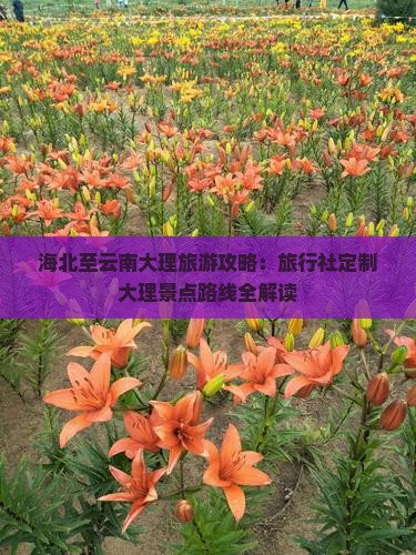 海北至云南大理旅游攻略：旅行社定制大理景点路线全解读