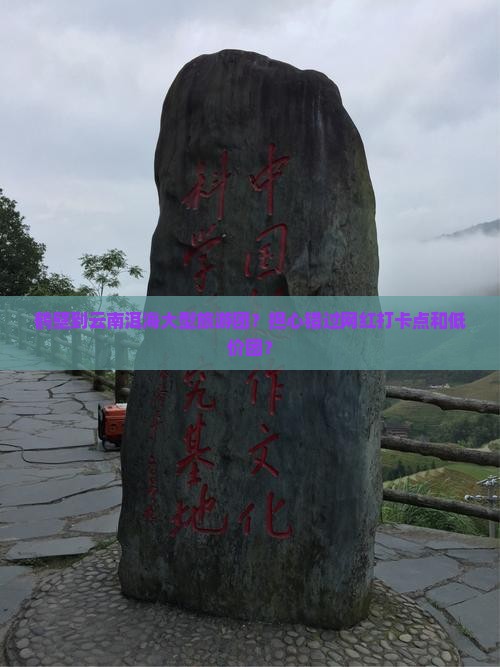 鹤壁到云南洱海大型旅游团？担心错过网红打卡点和低价团？