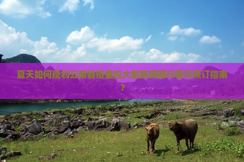 夏天如何规划云南香格里拉大型旅游团行程与预订指南？