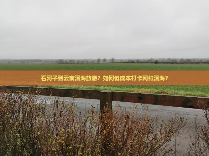 石河子到云南洱海旅游？如何低成本打卡网红洱海？