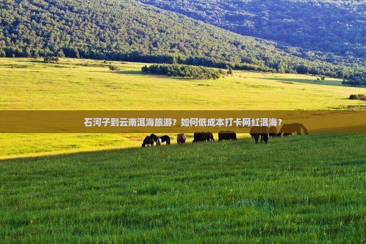 石河子到云南洱海旅游？如何低成本打卡网红洱海？