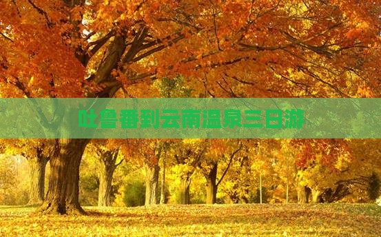 吐鲁番到云南温泉三日游