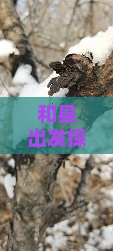 和县出发探秘云南西双版纳风情自由行团