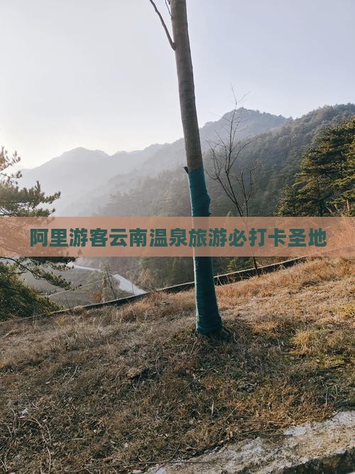 阿里游客云南温泉旅游必打卡圣地