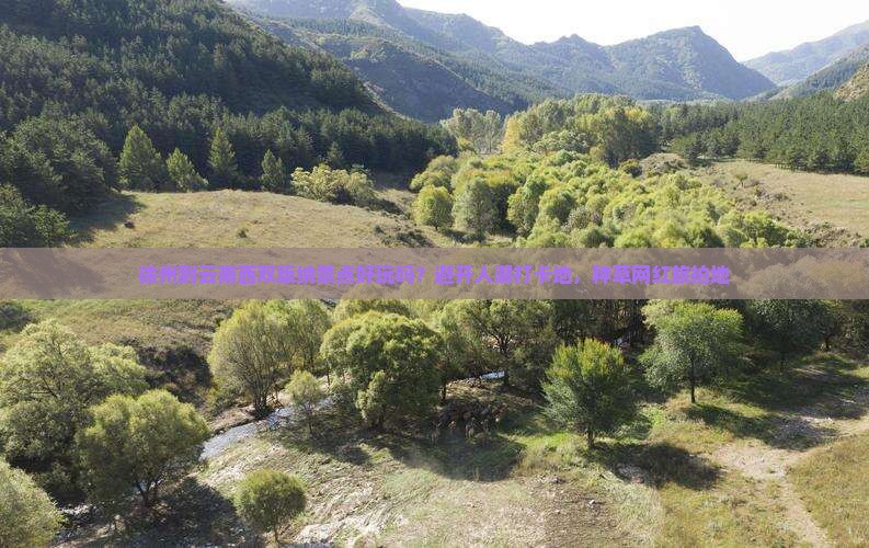 徐州到云南西双版纳景点好玩吗？避开人潮打卡地，种草网红旅拍地