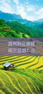 温州到云南昆明三日游？三天两夜行程太赶？带老人孩子出游怕累？快看这份攻略！