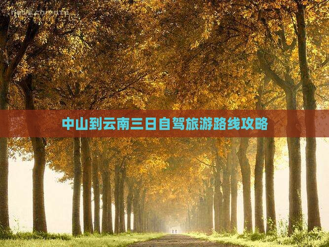 中山到云南三日自驾旅游路线攻略