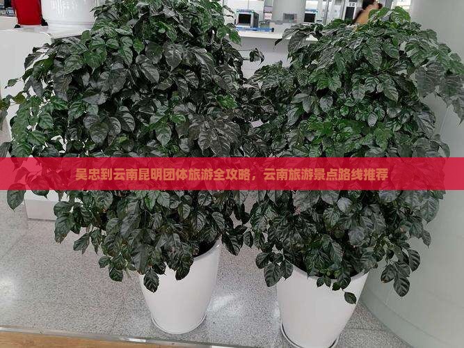 吴忠到云南昆明团体旅游全攻略，云南旅游景点路线推荐