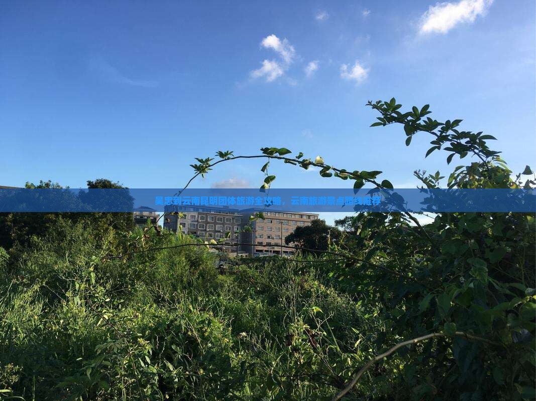 吴忠到云南昆明团体旅游全攻略，云南旅游景点路线推荐