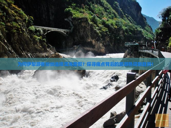 为何伊犁游客纷纷选择洱海度假？探寻痛点背后的旅游热词新趋势！