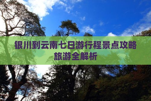 银川到云南七日游行程景点攻略旅游全解析
