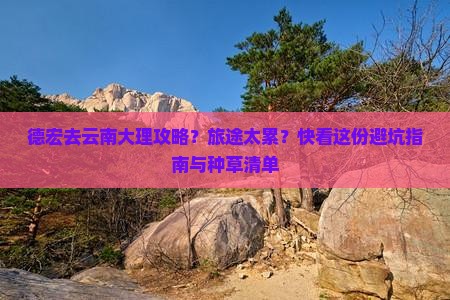 德宏去云南大理攻略？旅途太累？快看这份避坑指南与种草清单