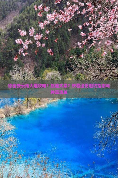 德宏去云南大理攻略？旅途太累？快看这份避坑指南与种草清单