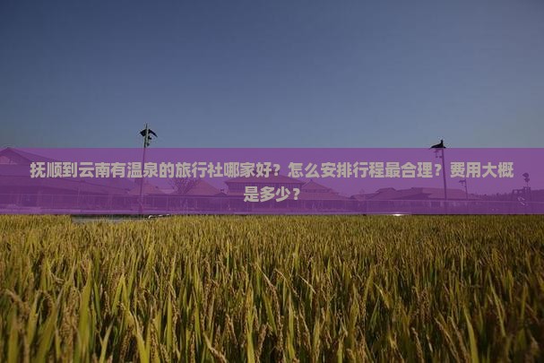 抚顺到云南有温泉的旅行社哪家好？怎么安排行程最合理？费用大概是多少？