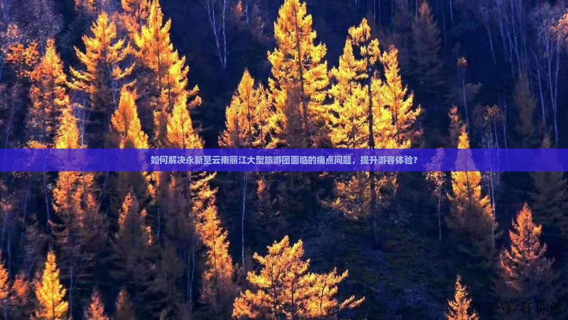 如何解决永新至云南丽江大型旅游团面临的痛点问题，提升游客体验？