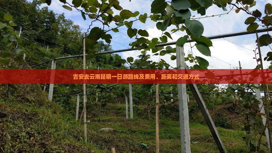吉安去云南昆明一日游路线及费用、距离和交通方式