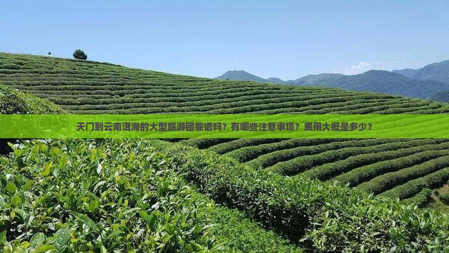 天门到云南洱海的大型旅游团靠谱吗？有哪些注意事项？费用大概是多少？