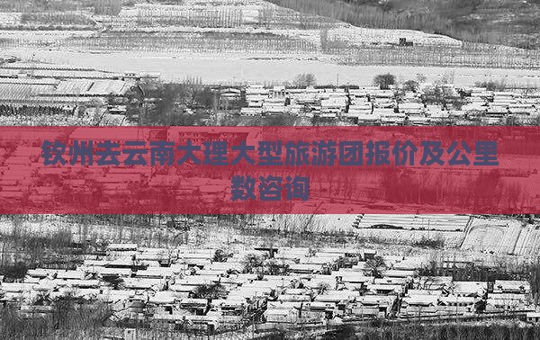 钦州去云南大理大型旅游团报价及公里数咨询