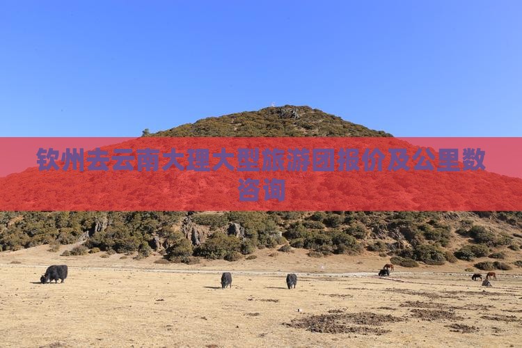 钦州去云南大理大型旅游团报价及公里数咨询