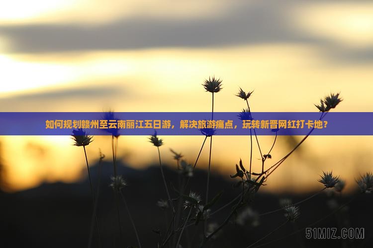 如何规划赣州至云南丽江五日游，解决旅游痛点，玩转新晋网红打卡地？