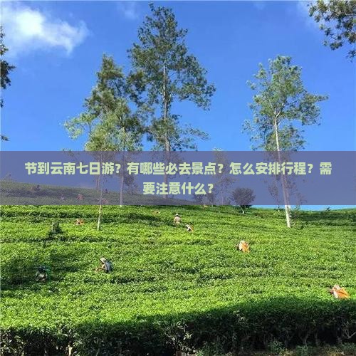 节到云南七日游？有哪些必去景点？怎么安排行程？需要注意什么？
