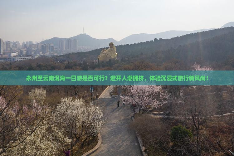 永州至云南洱海一日游是否可行？避开人潮拥挤，体验沉浸式旅行新风尚！