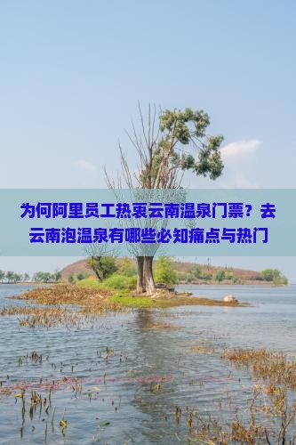 为何阿里员工热衷云南温泉门票？去云南泡温泉有哪些必知痛点与热门新选择？