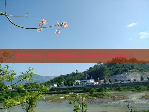 龙岩去云南大型旅游团费用及路线详解与价格对比