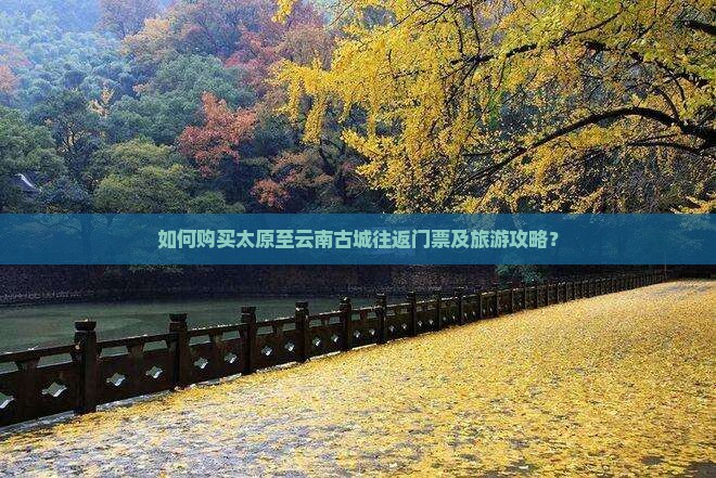 如何购买太原至云南古城往返门票及旅游攻略？