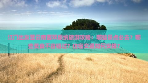 江门出发至云南西双版纳旅游攻略：哪些景点必去？哪些美食不容错过？住宿交通如何安排？