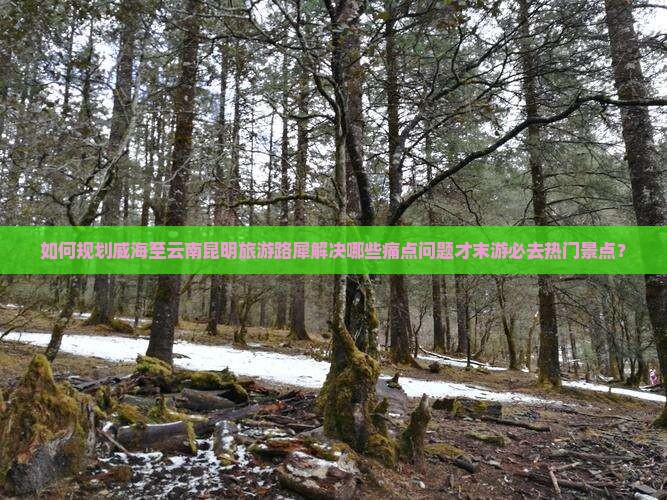 如何规划威海至云南昆明旅游路犀解决哪些痛点问题才末游必去热门景点？