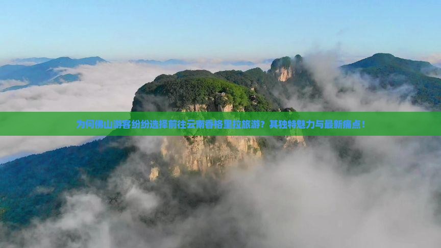 为何佛山游客纷纷选择前往云南香格里拉旅游？其独特魅力与最新痛点！