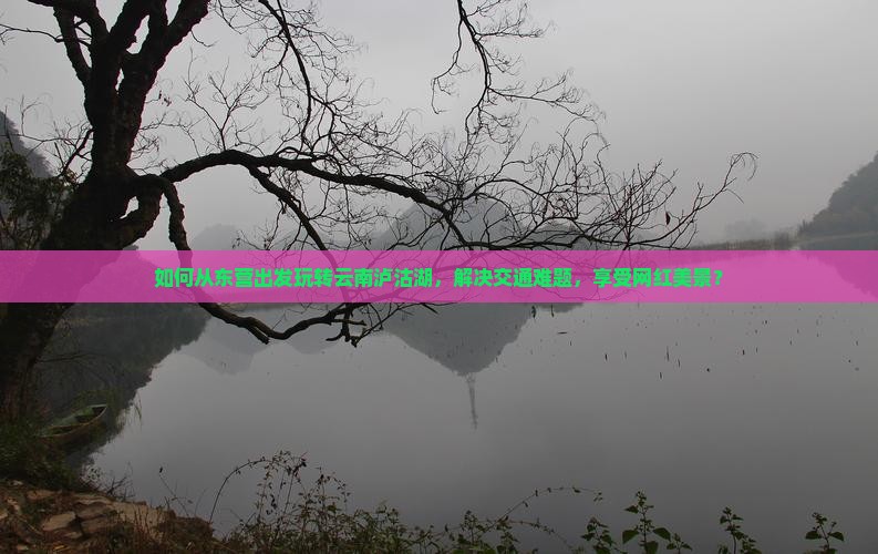 如何从东营出发玩转云南泸沽湖，解决交通难题，享受网红美景？