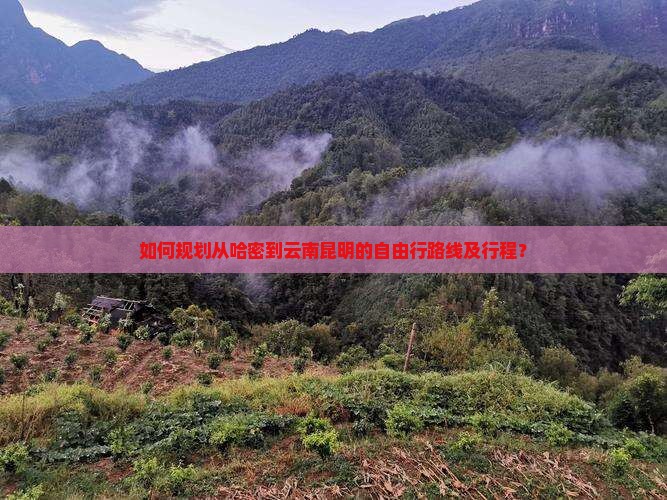 如何规划从哈密到云南昆明的自由行路线及行程？