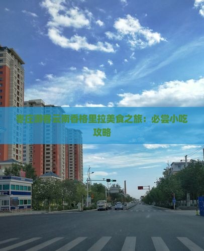 枣庄游客云南香格里拉美食之旅：必尝小吃攻略