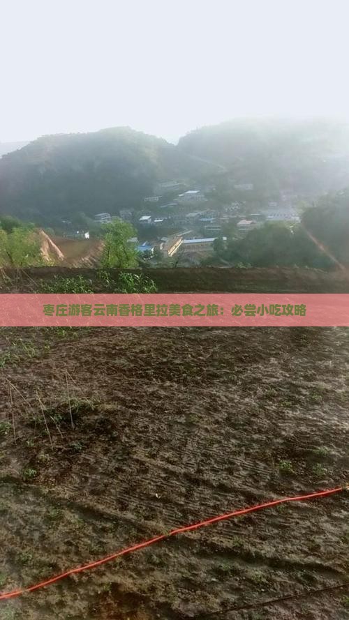 枣庄游客云南香格里拉美食之旅：必尝小吃攻略